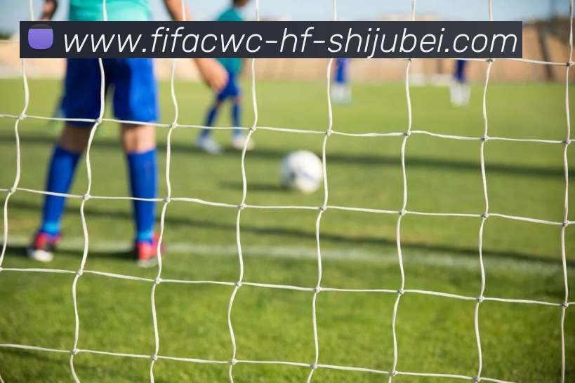 世界杯直播APP 封面图