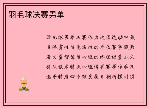 羽毛球决赛男单